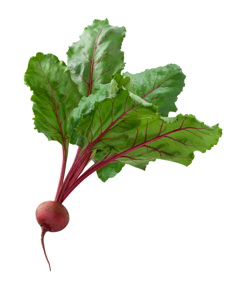 Beet with Leaves