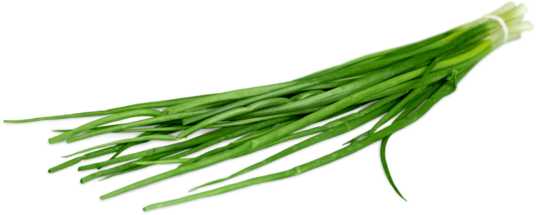 Fresh Spring Onions