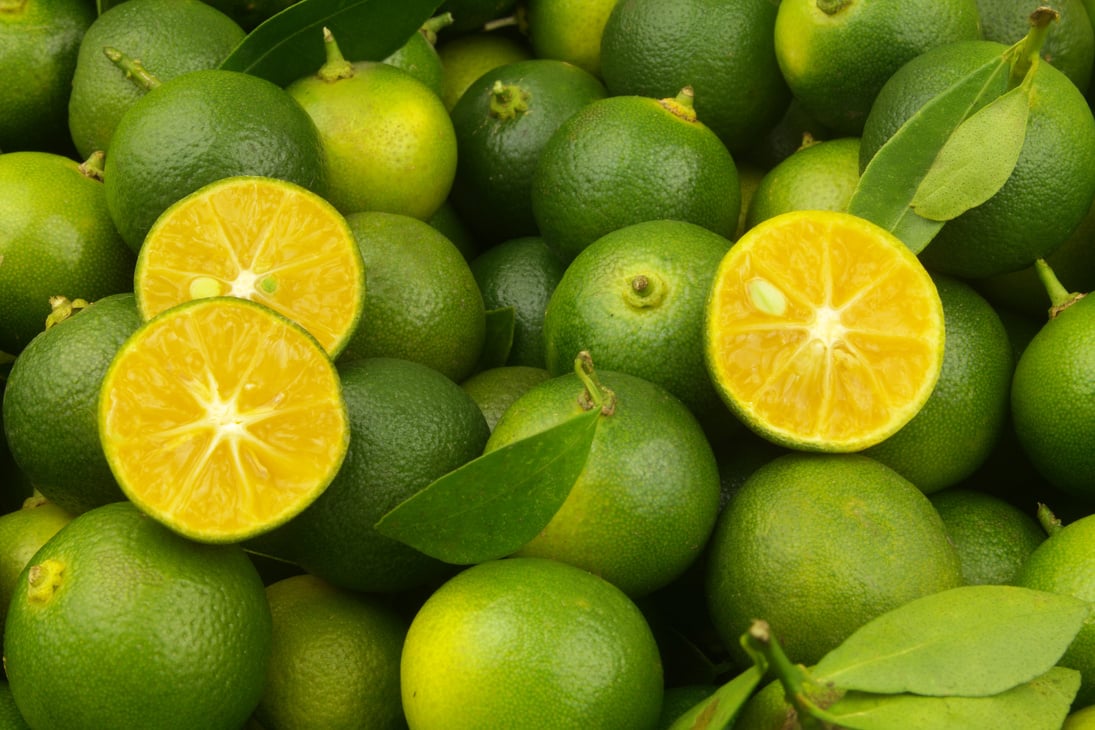 Fresh ripe calamansi limes  background